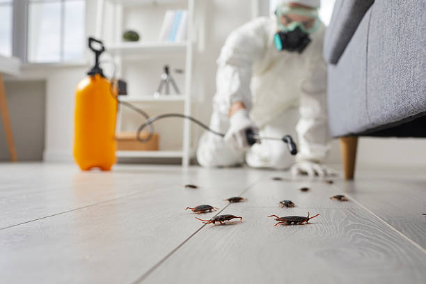 Commercial Kitchen Cockroach Control in South Berwick